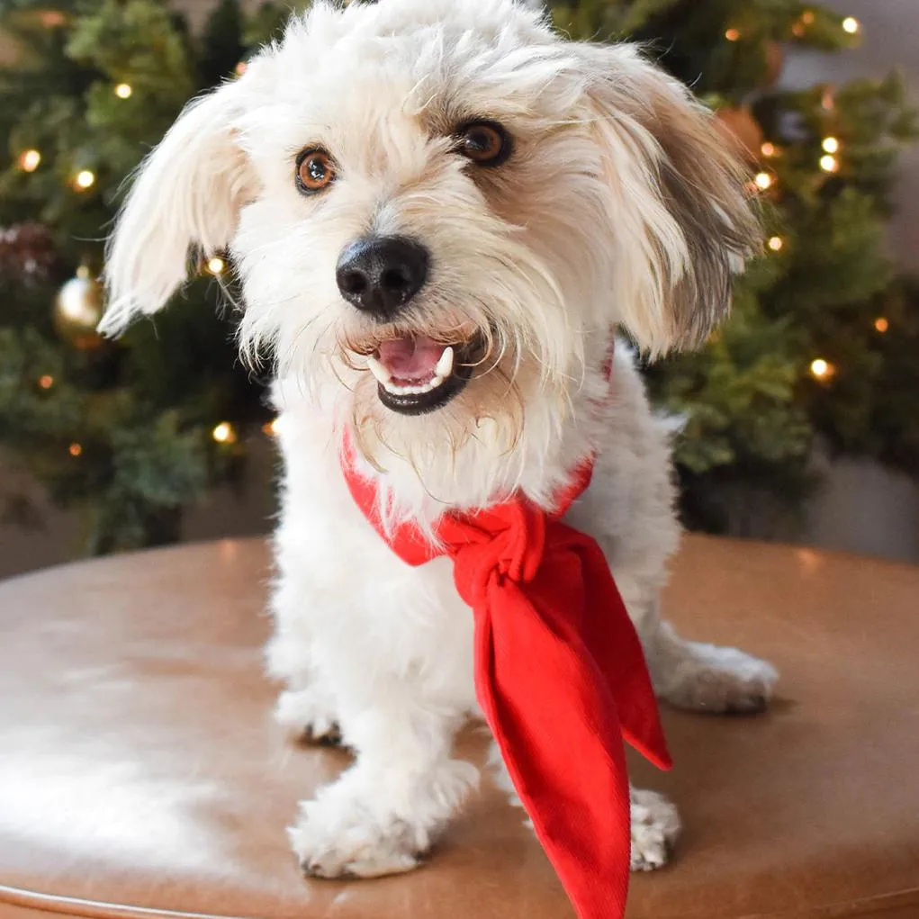 Holiday Dog Bandana Necktie Red Corduroy